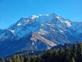 Vue Mont Blanc exceptionnelle Piscine chauffée